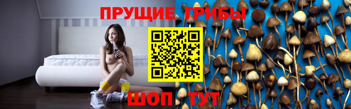 где можно купить наркотик  Галлюциногенные грибы ЛСД  Вход с VPN  Вологда 